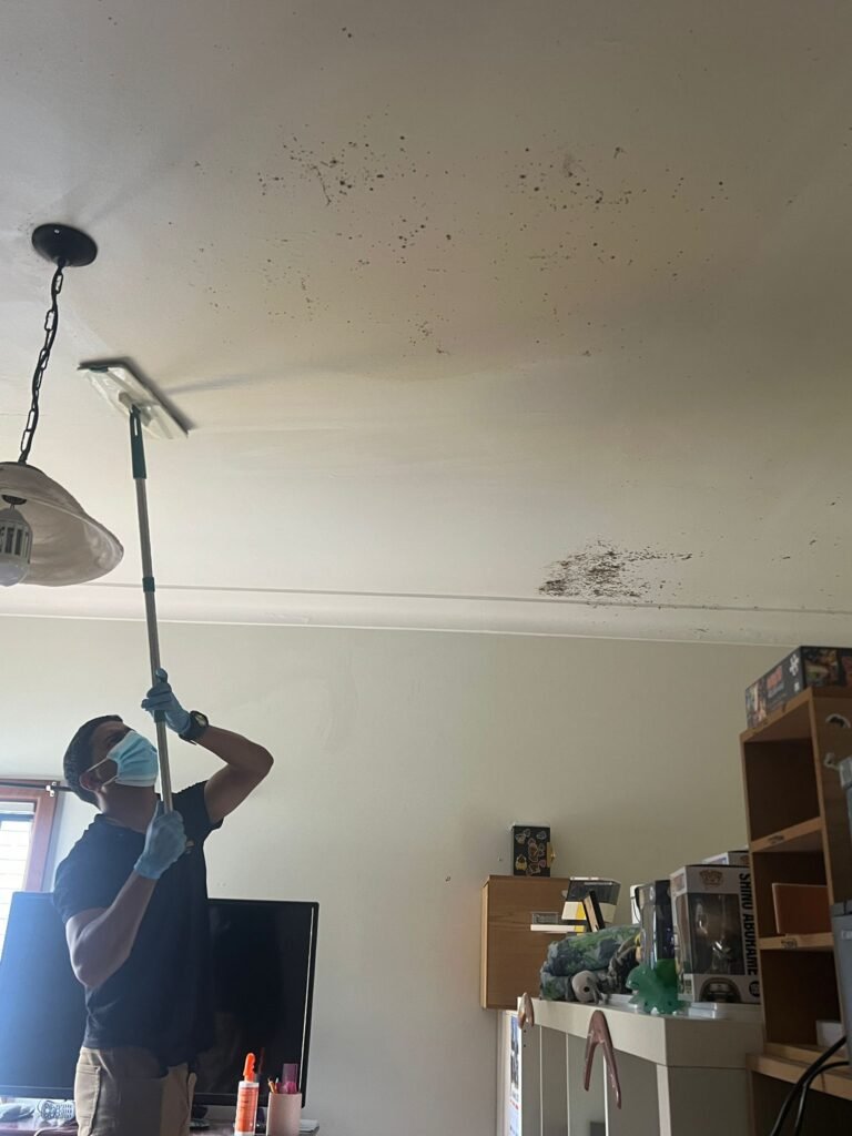 deep cleaning 